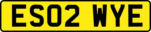 ES02WYE