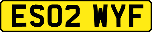 ES02WYF