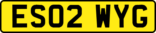 ES02WYG