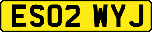 ES02WYJ