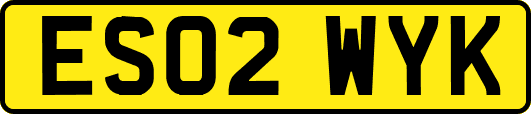 ES02WYK