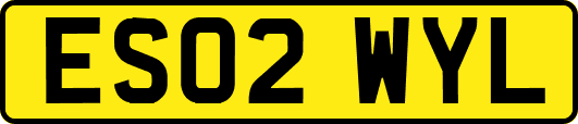 ES02WYL