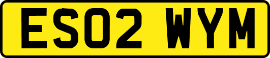 ES02WYM