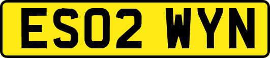 ES02WYN