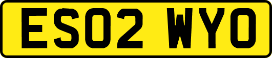 ES02WYO