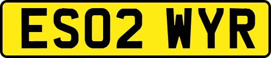ES02WYR