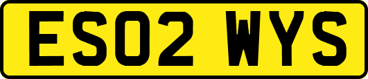 ES02WYS