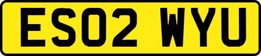 ES02WYU