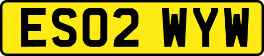 ES02WYW