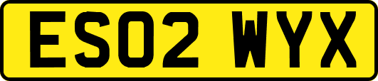 ES02WYX