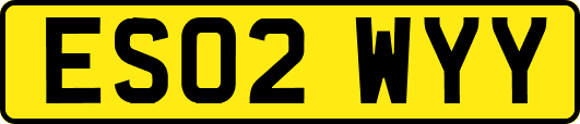 ES02WYY