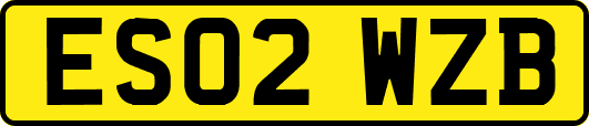 ES02WZB