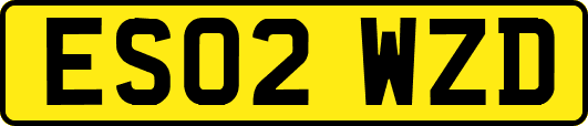 ES02WZD