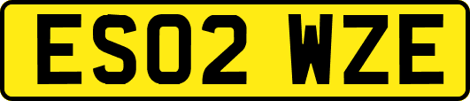 ES02WZE