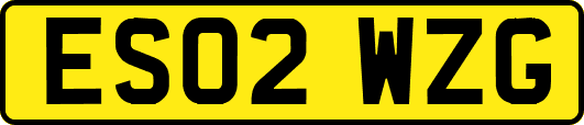 ES02WZG