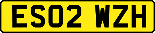 ES02WZH