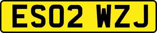 ES02WZJ