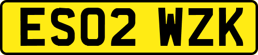 ES02WZK