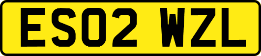 ES02WZL