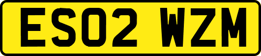 ES02WZM