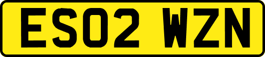 ES02WZN