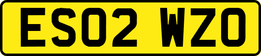 ES02WZO
