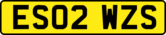 ES02WZS