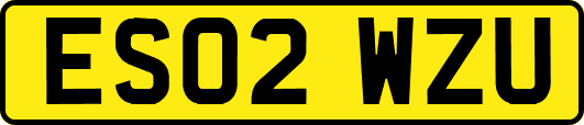 ES02WZU