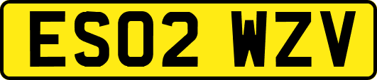 ES02WZV