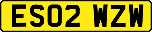 ES02WZW