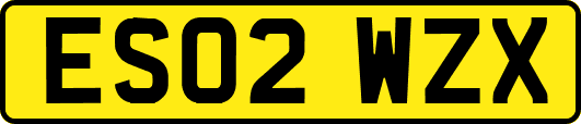 ES02WZX