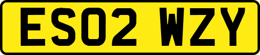 ES02WZY