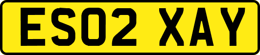ES02XAY