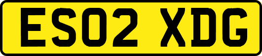 ES02XDG