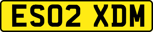 ES02XDM