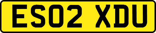 ES02XDU