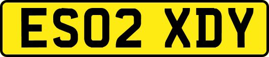 ES02XDY