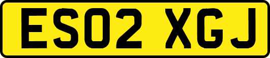 ES02XGJ