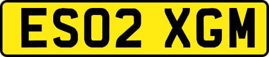 ES02XGM