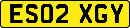 ES02XGY