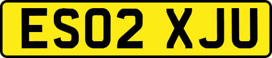 ES02XJU