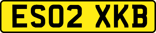 ES02XKB