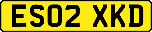 ES02XKD