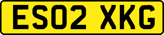 ES02XKG