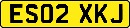 ES02XKJ
