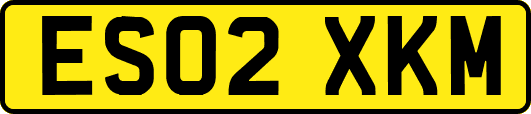 ES02XKM