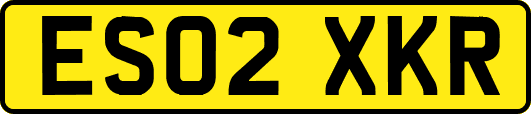 ES02XKR
