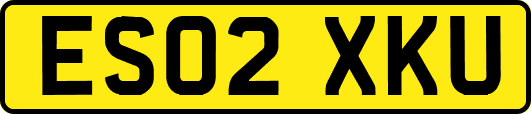 ES02XKU