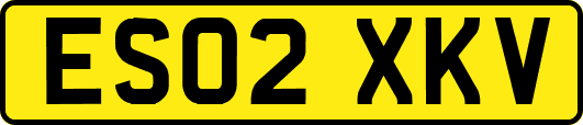 ES02XKV