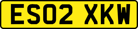 ES02XKW